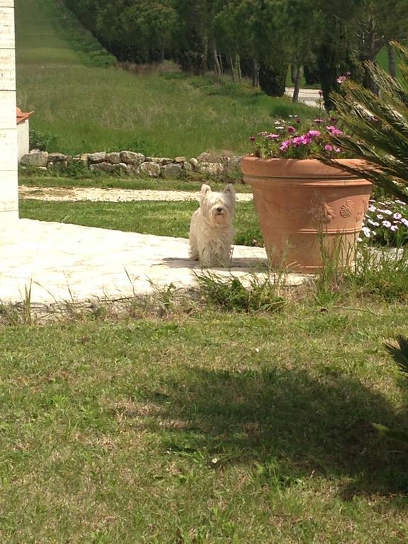 Hotel Bagno Santo